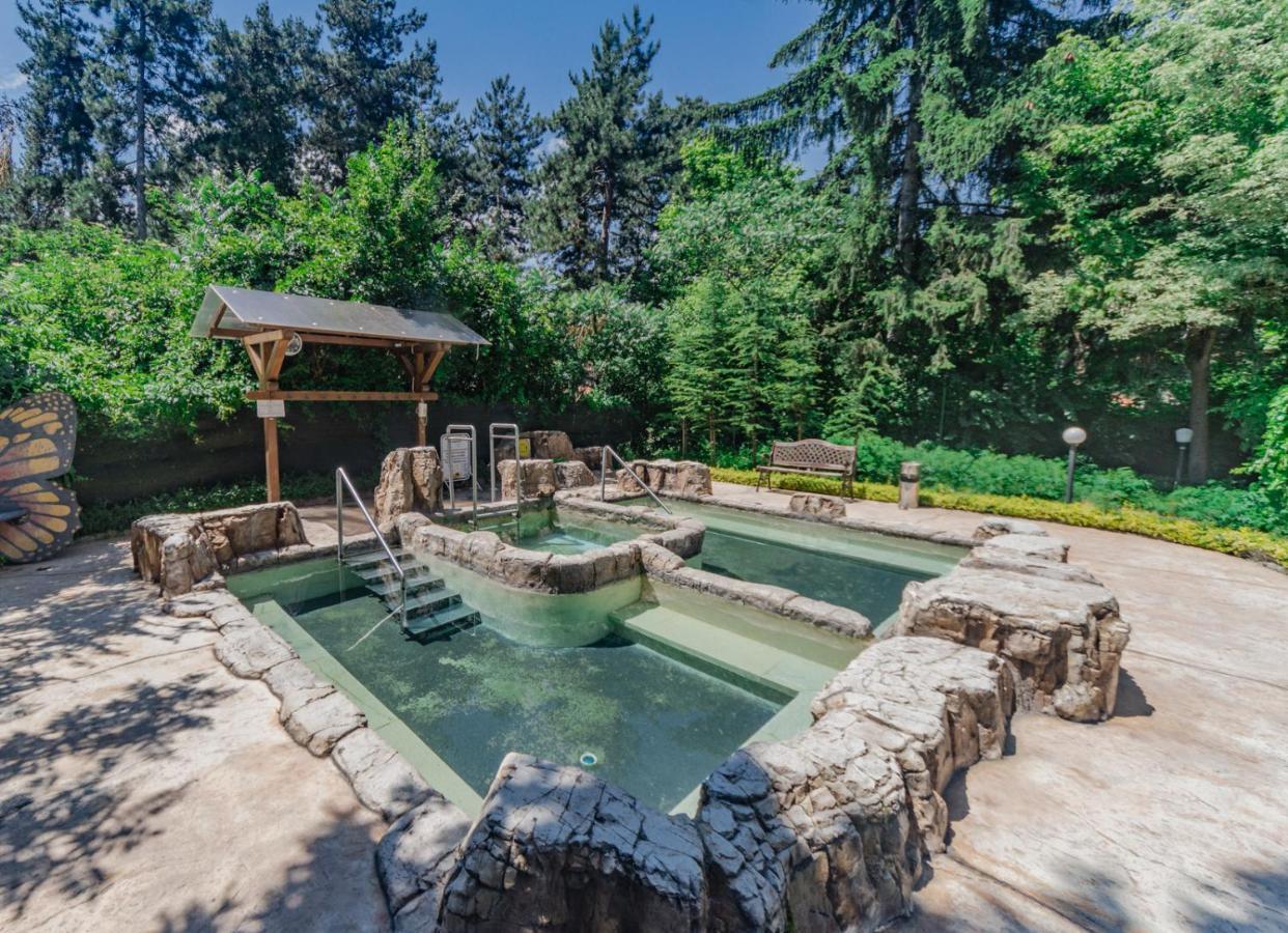 Spa Hotel Dvoretsa เวลินกราด ภายนอก รูปภาพ The hot springs at the resort