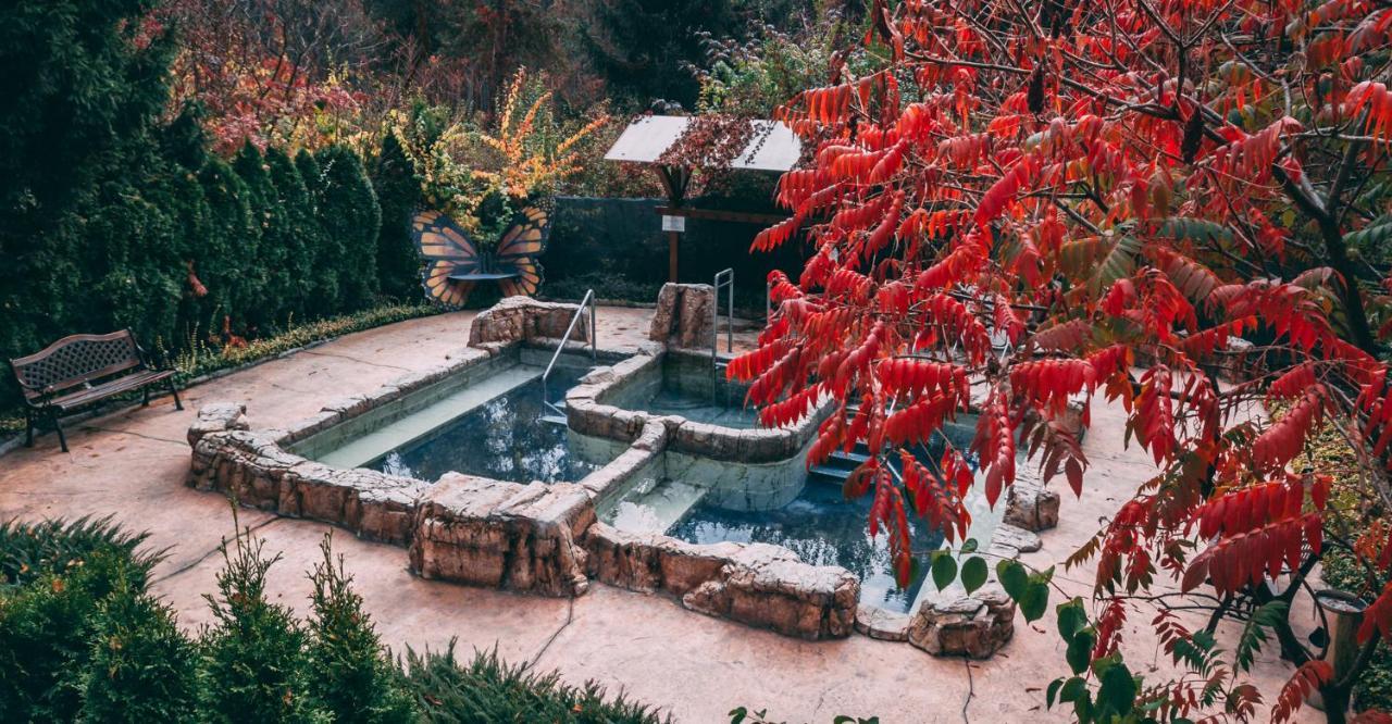 Spa Hotel Dvoretsa เวลินกราด ภายนอก รูปภาพ The outdoor hot springs at the Old Faithful Inn